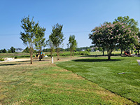 Sod installation
